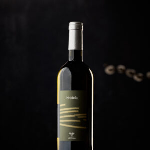 Nosiola | IGT Vigneti delle Dolomiti