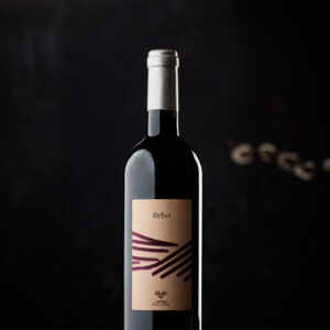 REBO IGT Vigneti delle Dolomiti | Vendemmia 2025